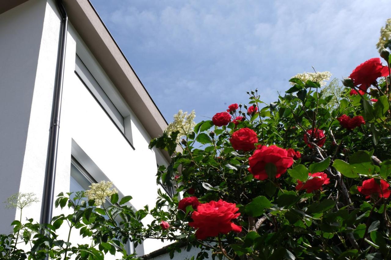 Apartment Le Rose Di Marianne - Ovest Vahrn Ngoại thất bức ảnh